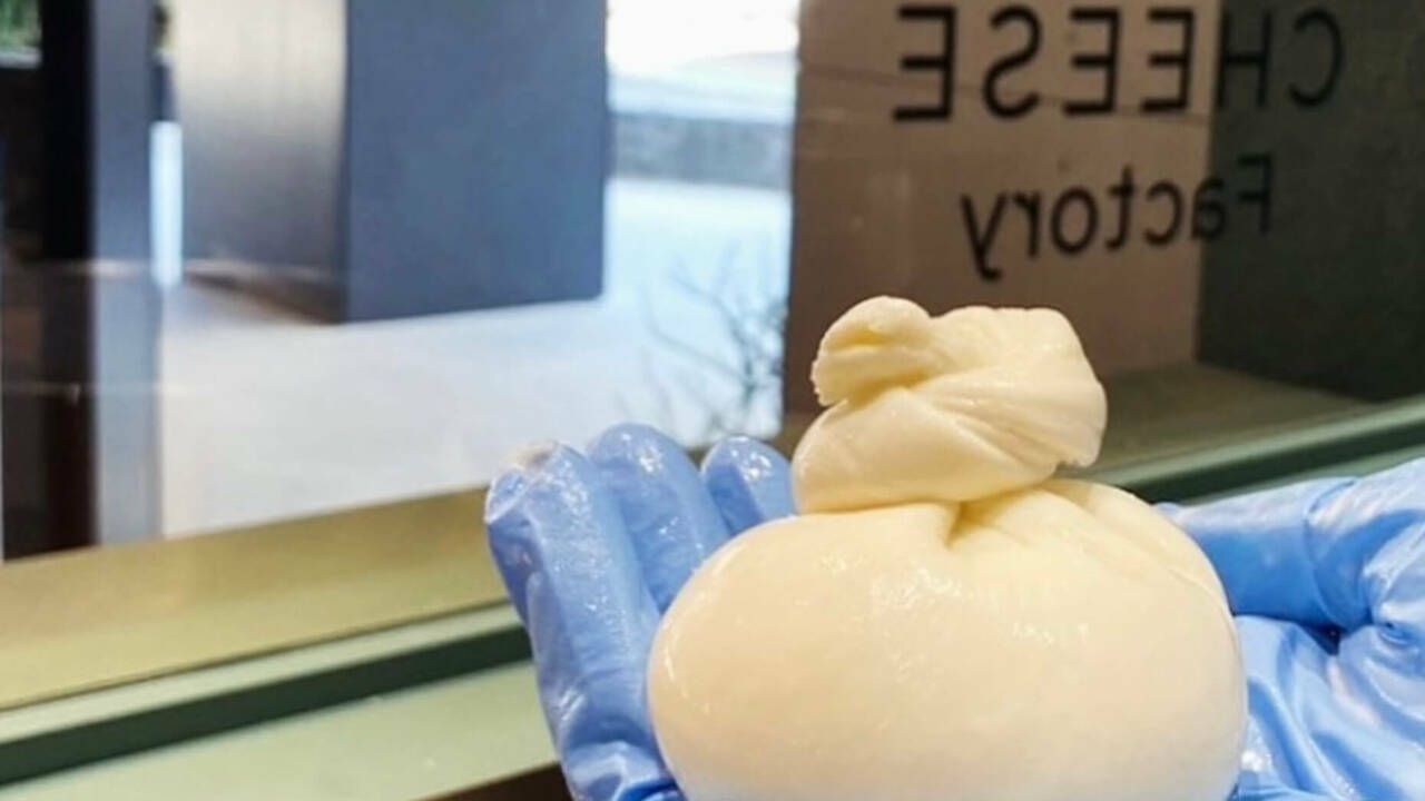 株式会社オルトアンドカンパニーの事業内容の写真2枚目