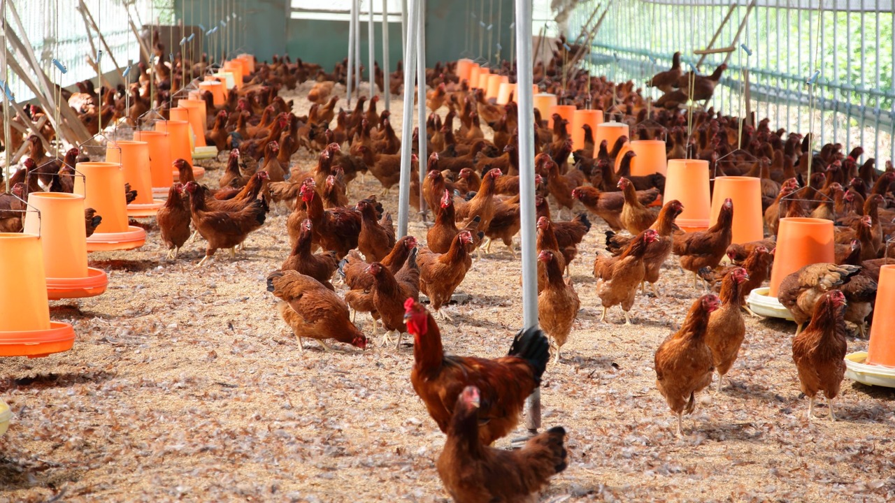 株式会社オカシオの会社TOPの写真2枚目