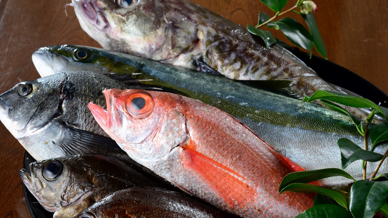 株式会社オカシオの会社TOPの写真4枚目