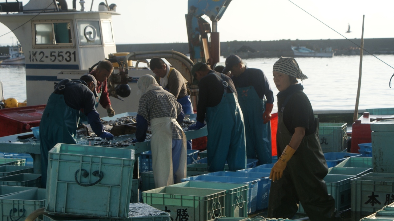 株式会社オカシオの事業内容の写真1枚目