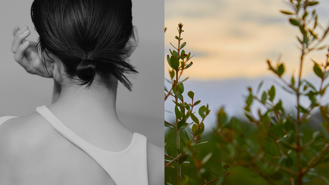 株式会社ウカの会社TOPの写真2枚目