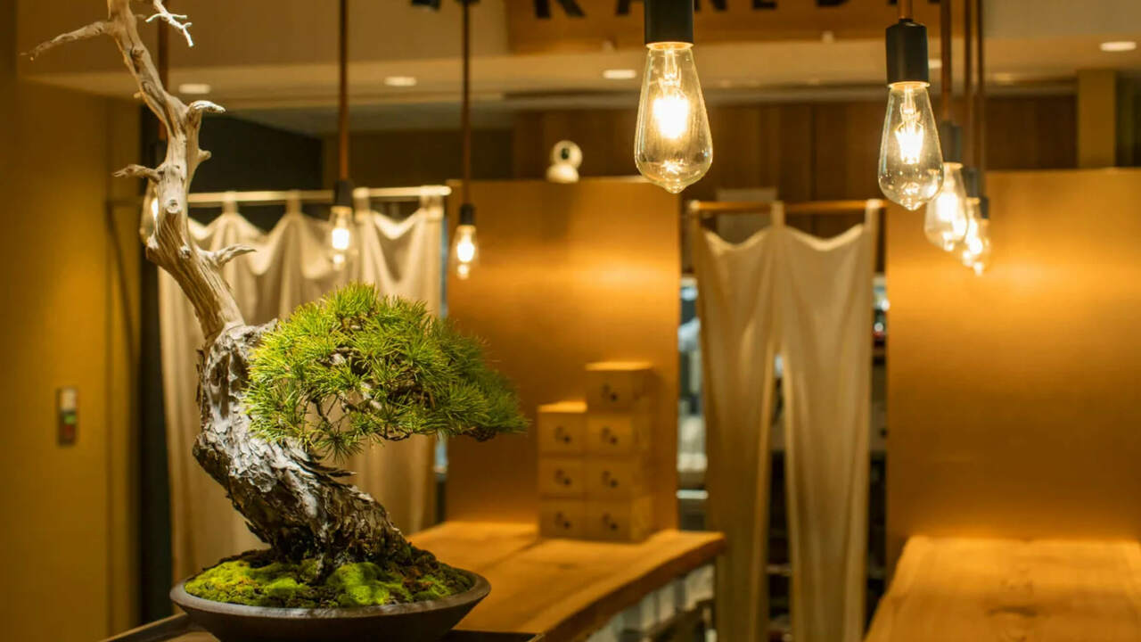 株式会社ZOTの事業内容の写真1枚目