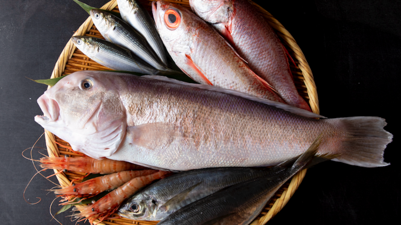 有限会社築地青空のこだわりポイントの写真1枚目