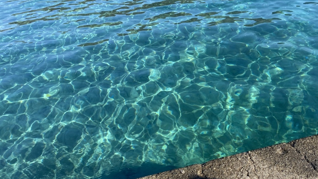 株式会社マナティー(クラブ・マナティーグループ)の事業内容の写真2枚目