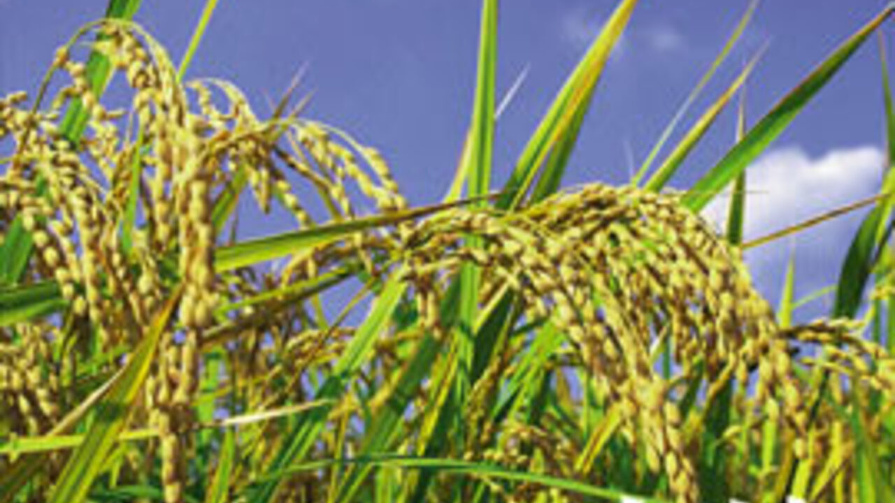 株式会社Made in 大地のこだわりポイントの写真1枚目