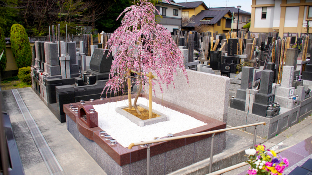 株式会社川辺のこだわりポイントの写真2枚目