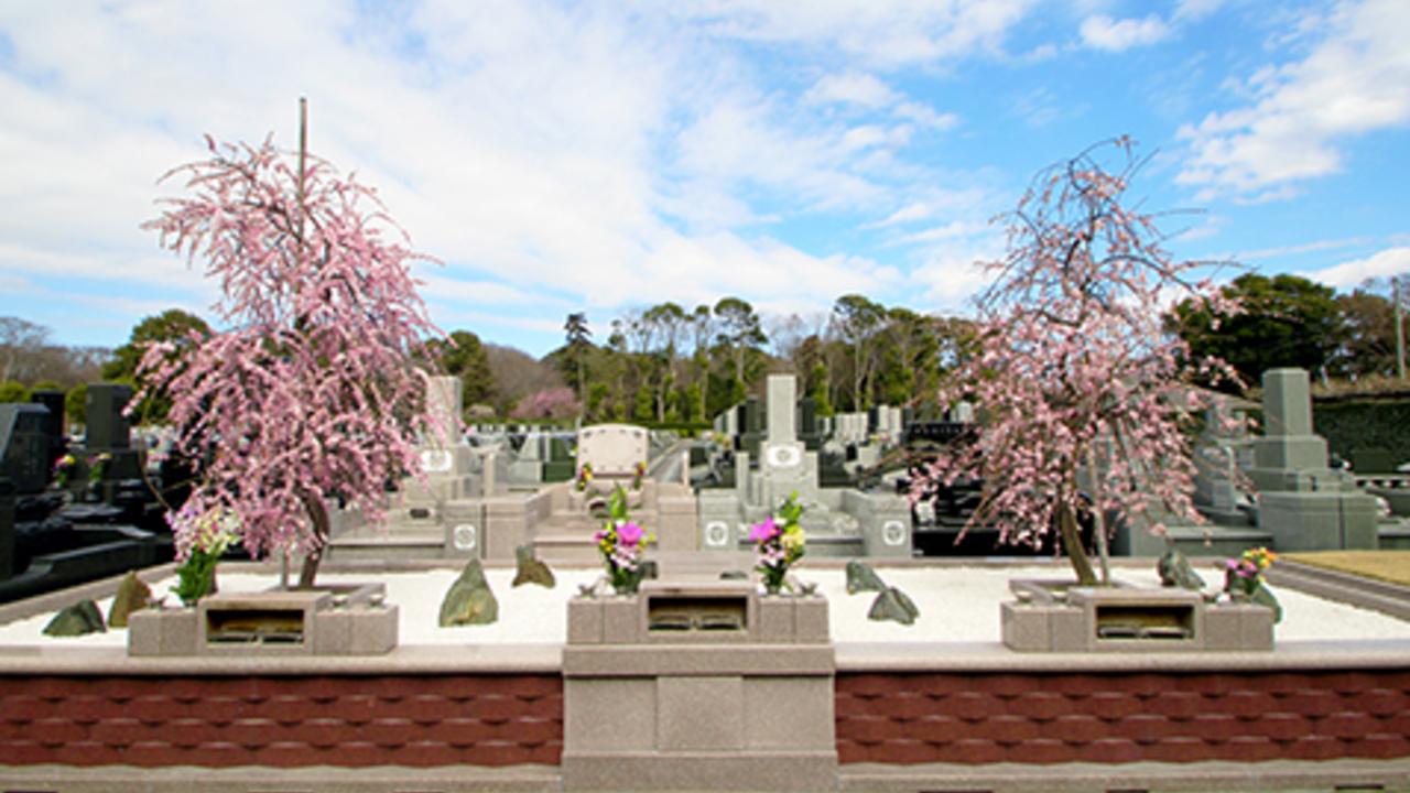 株式会社川辺の会社TOPの写真4枚目