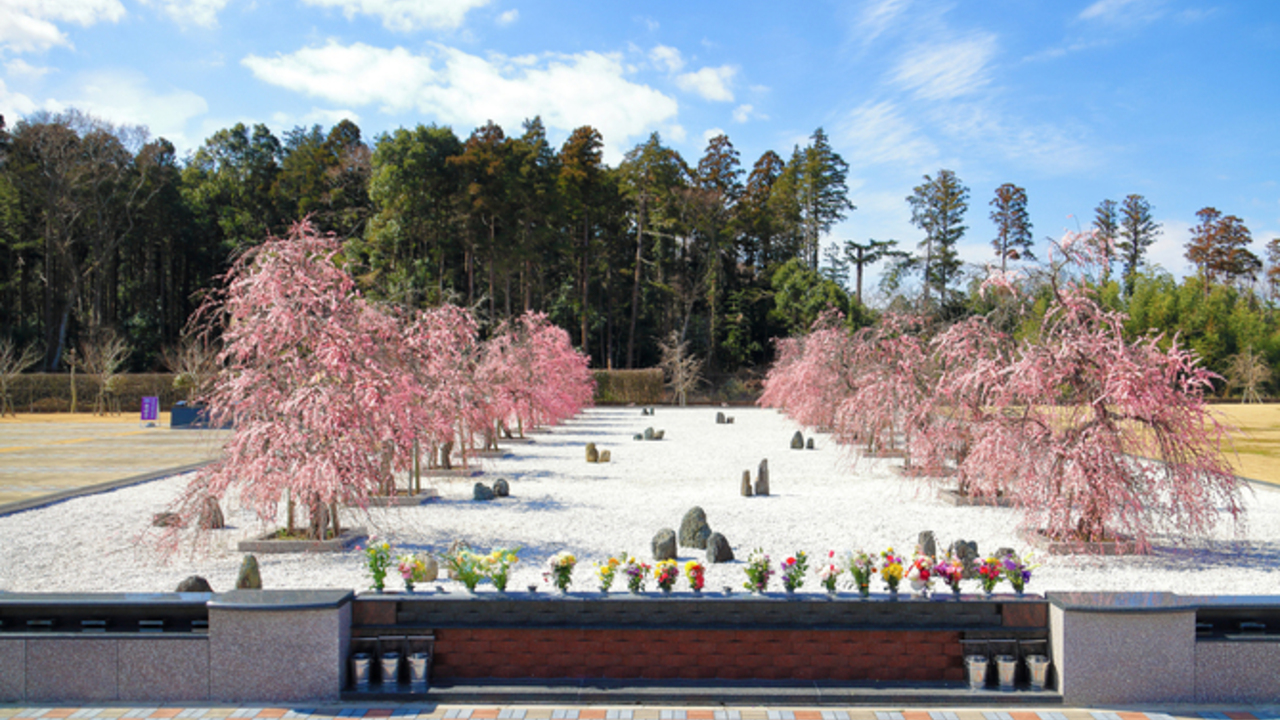 株式会社川辺で働く人の写真1枚目