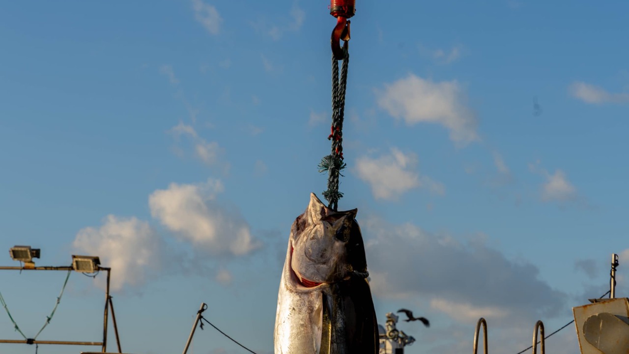 バリューアセットマネジメント株式会社のこだわりポイントの写真3枚目