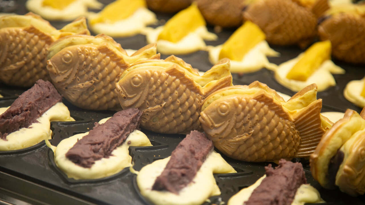 株式会社プラーナの事業内容の写真3枚目