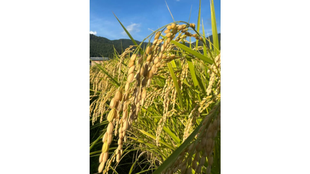 株式会社Cocoro diningのこだわりポイントの写真1枚目