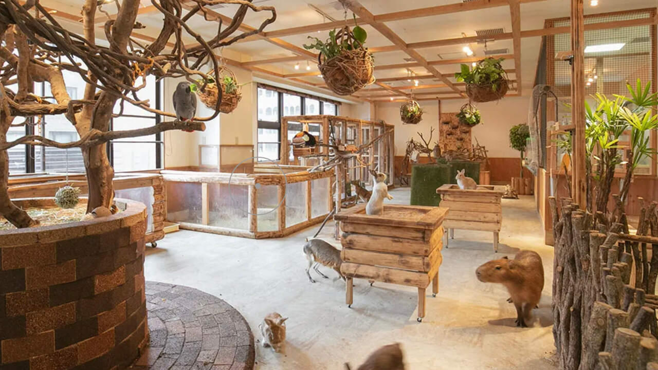 学校法人福岡安達学園の事業内容の写真1枚目