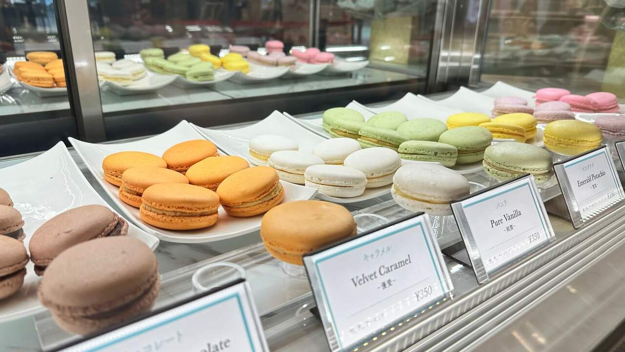 株式会社GM7の事業内容の写真4枚目