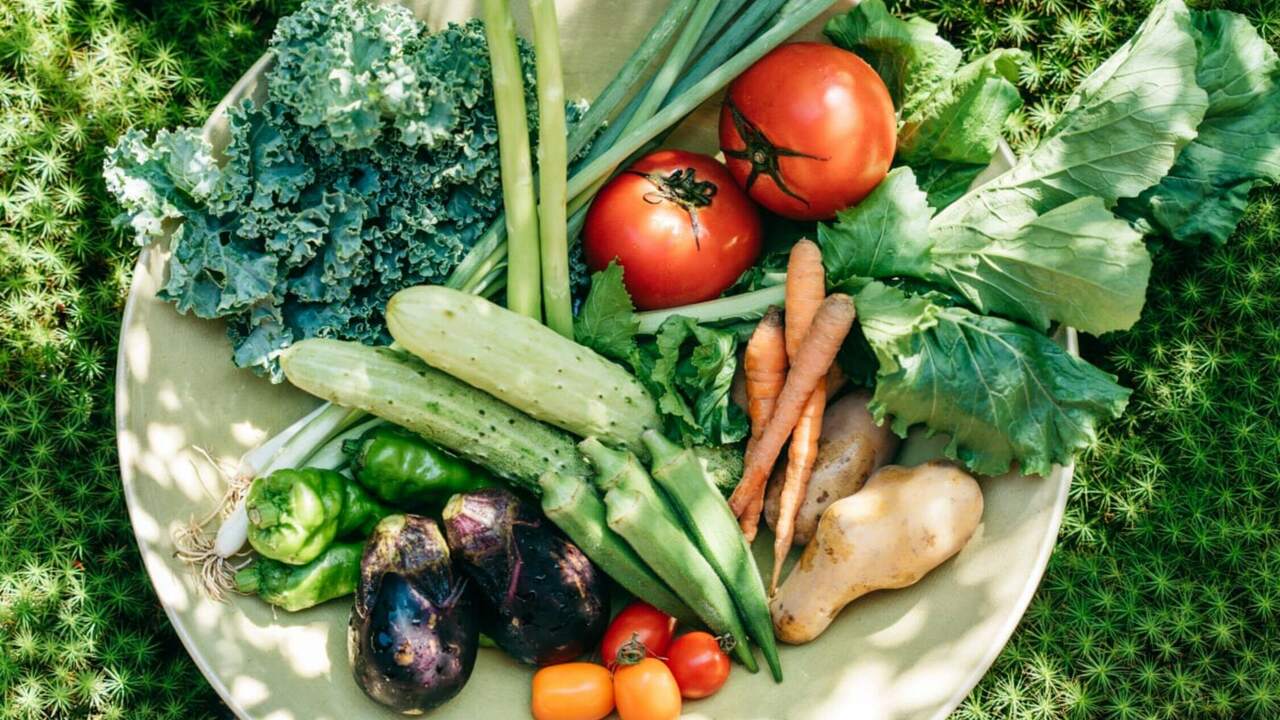 株式会社御所まちづくりで働く人の写真4枚目