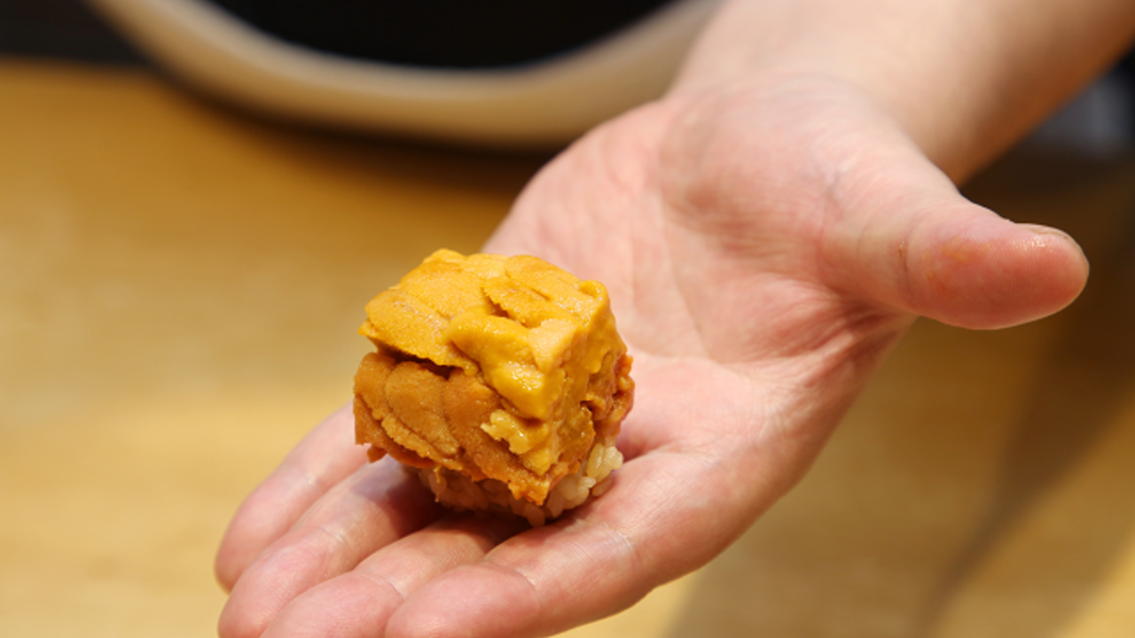 株式会社 M's Seaの事業内容の写真1枚目