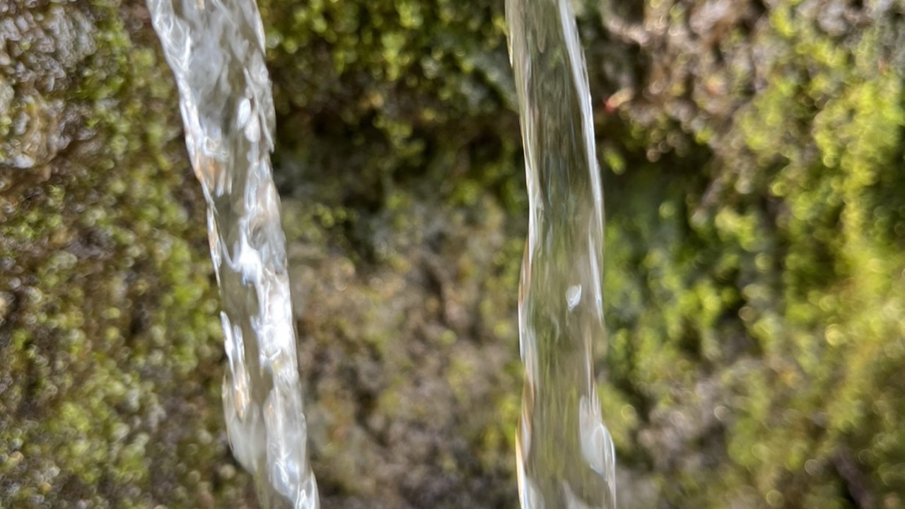 株式会社炭焼笑店陽のこだわりポイントの写真3枚目