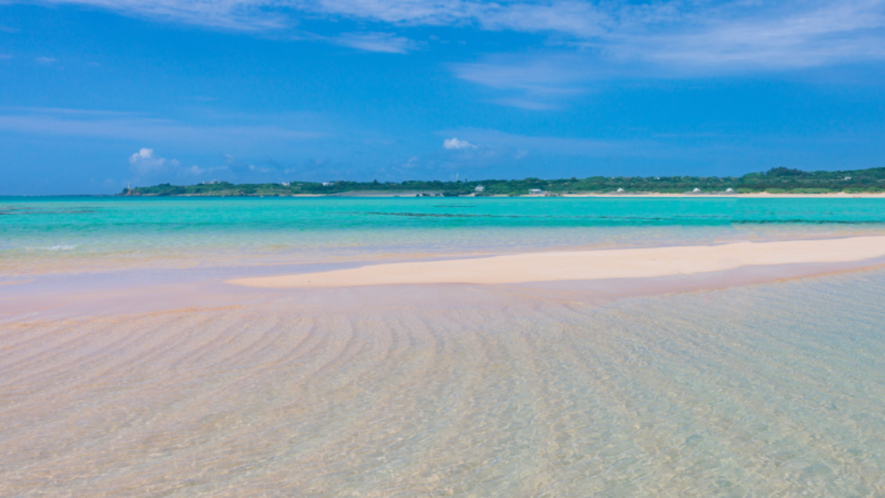 スターリゾート株式会社の会社TOPの写真2枚目