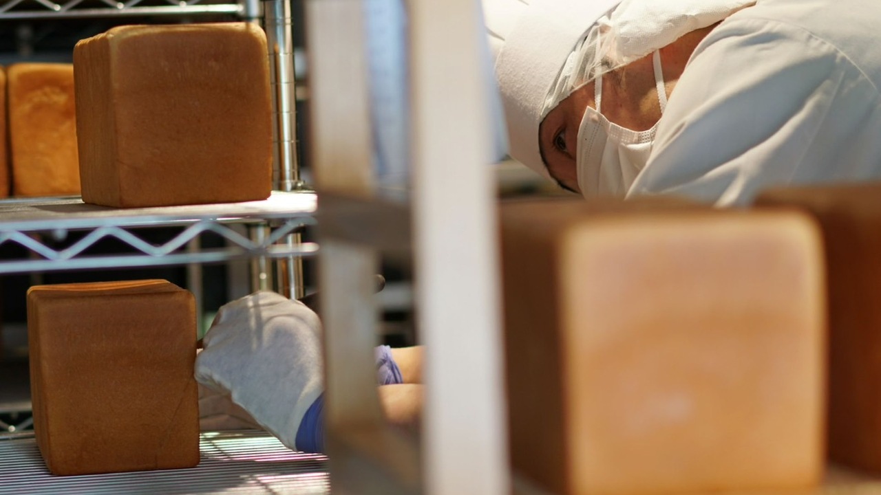 株式会社ル・スティルの事業内容の写真1枚目