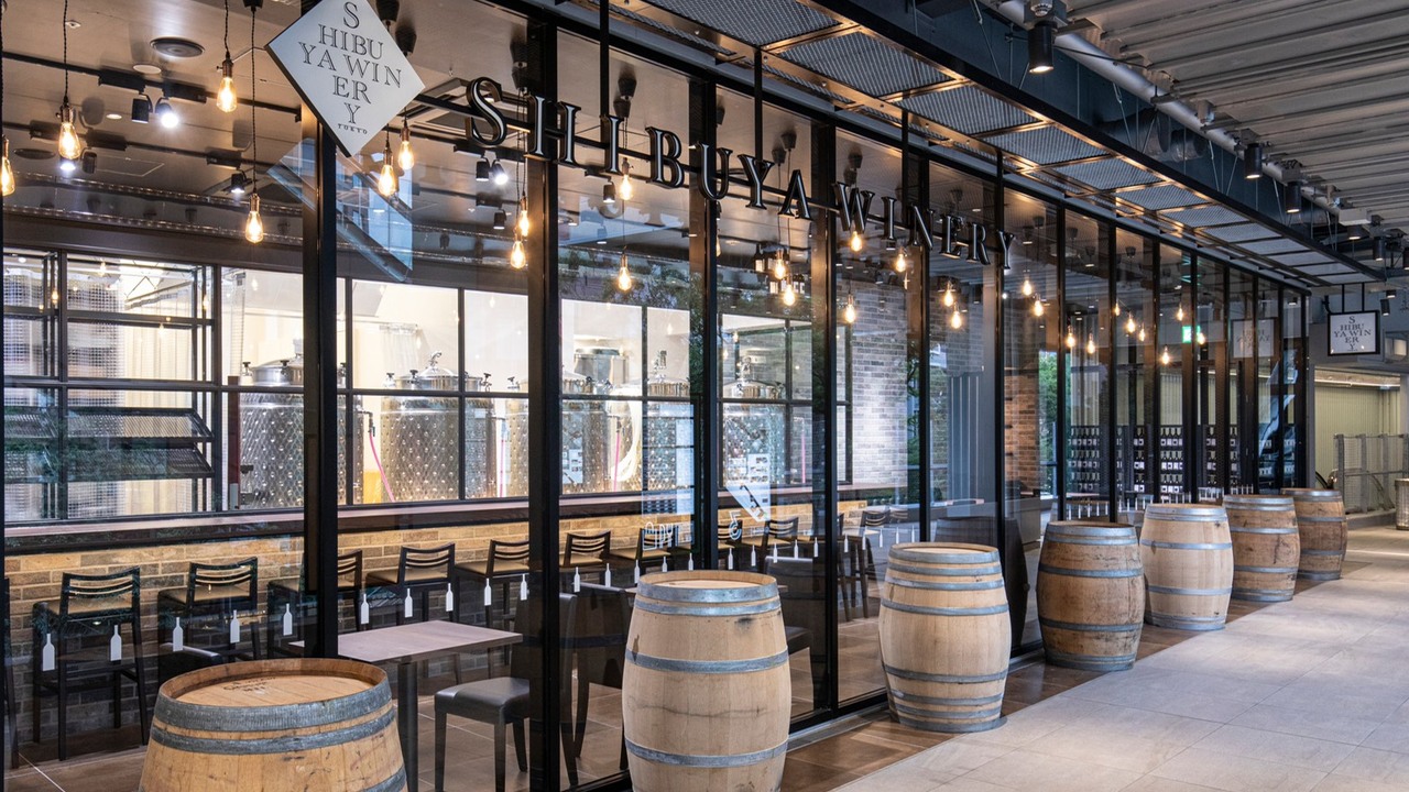 株式会社スイミージャパンの事業内容の写真4枚目