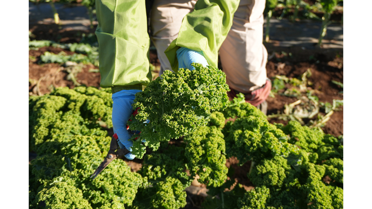 Mr.LAND株式会社のこだわりポイントの写真2枚目