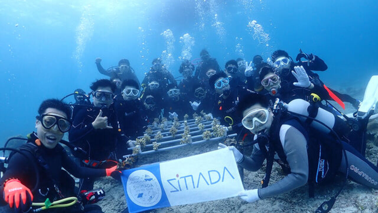 シマダハウス株式会社のこだわりポイントの写真1枚目