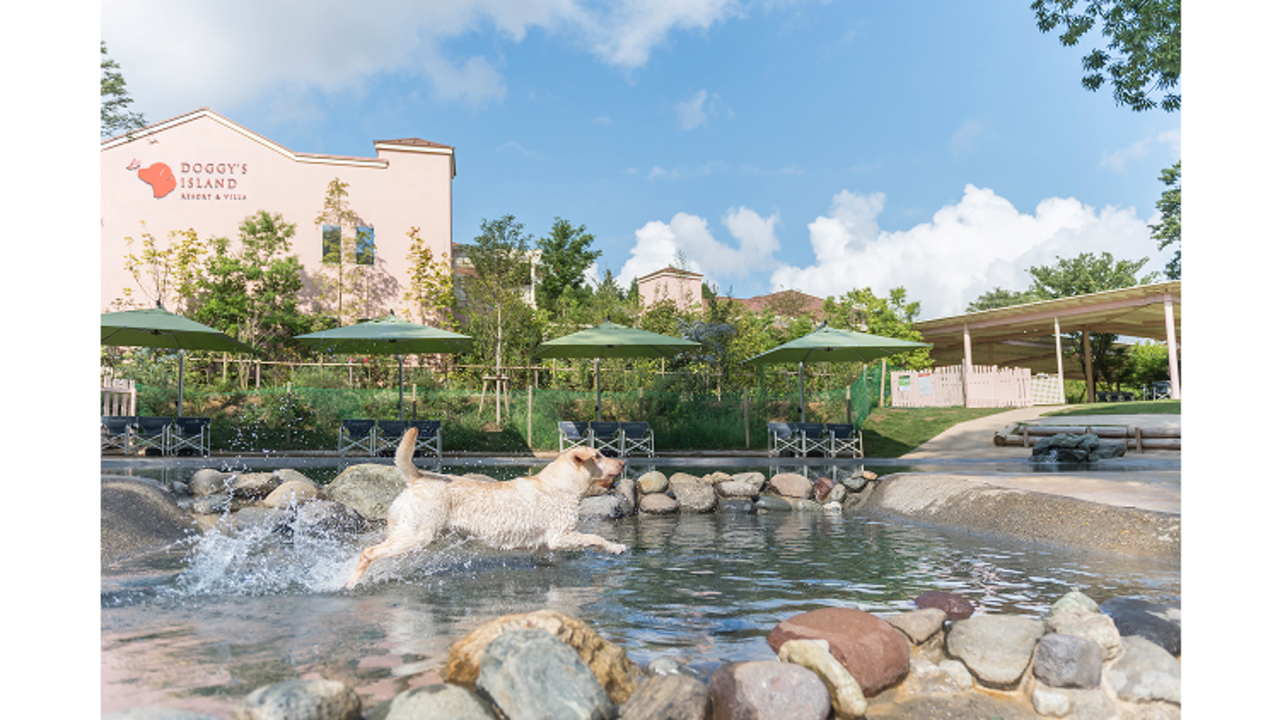 株式会社ユニマットドギーズアイランドのこだわりポイントの写真3枚目