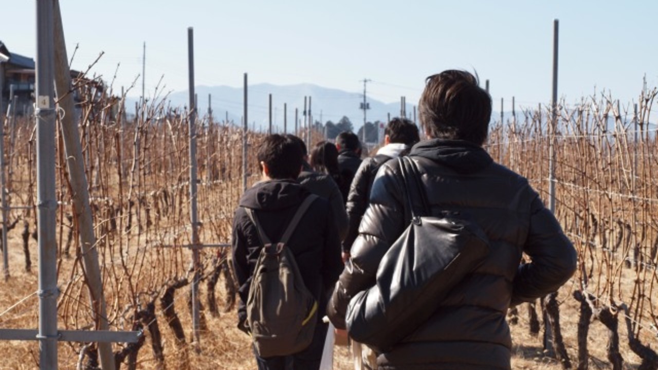 株式会社エムズダイニングの事業内容の写真3枚目