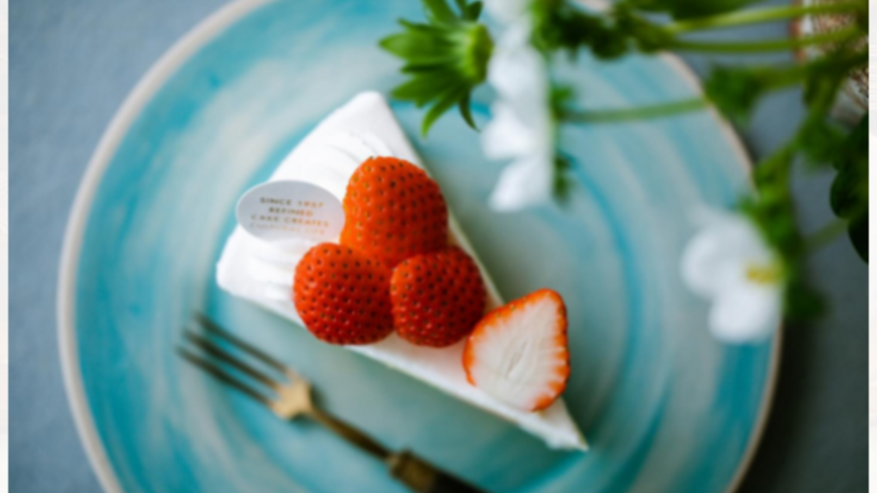 株式会社白十字の会社TOPの写真1枚目