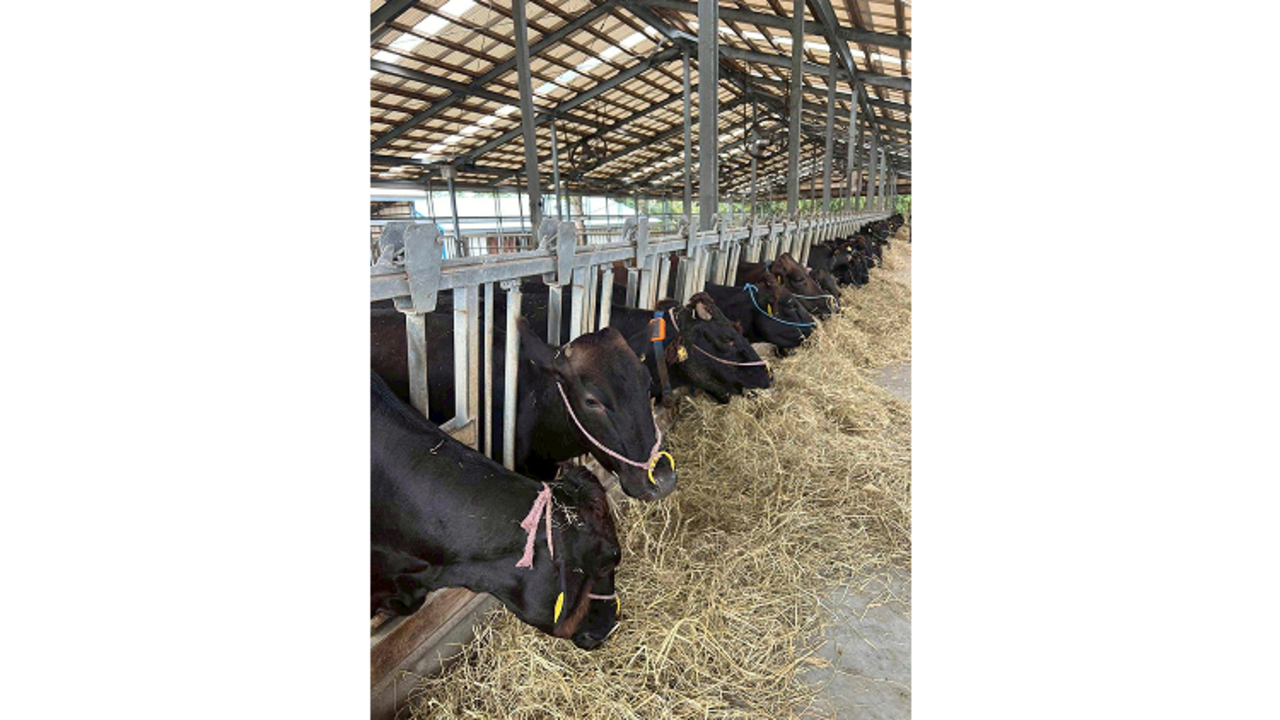 株式会社焼肉尾崎の事業内容の写真2枚目