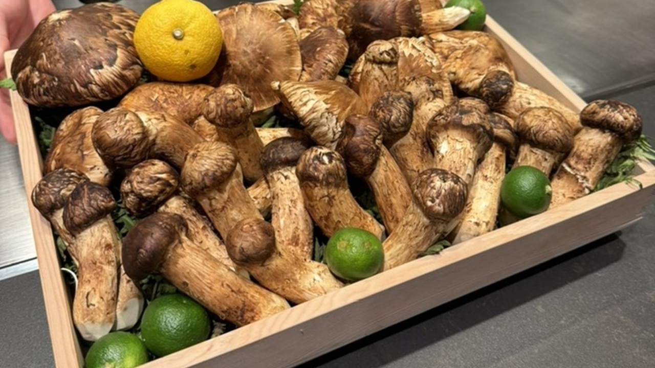 株式会社MSERRNTの事業内容の写真3枚目