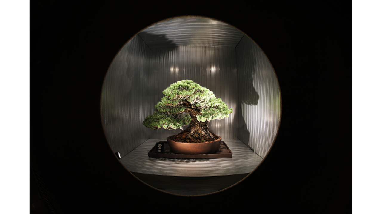 株式会社Match Pompで働く人の写真2枚目