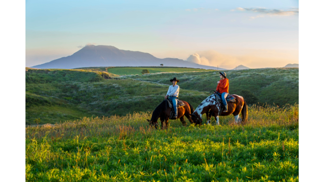 株式会社フロンティアホースグループの会社TOPの写真1枚目