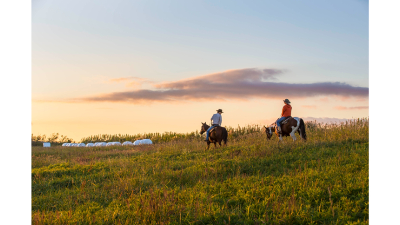 株式会社フロンティアホースグループの事業内容の写真2枚目