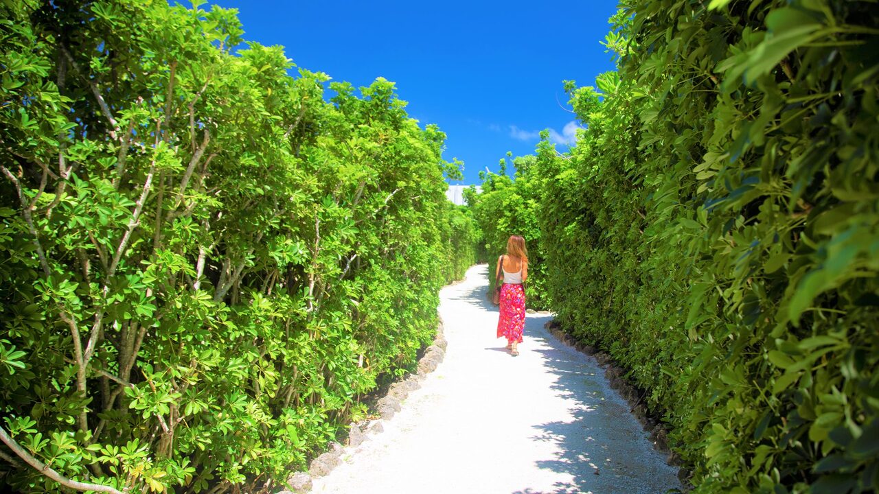 株式会社たびのホテルズの事業内容の写真4枚目