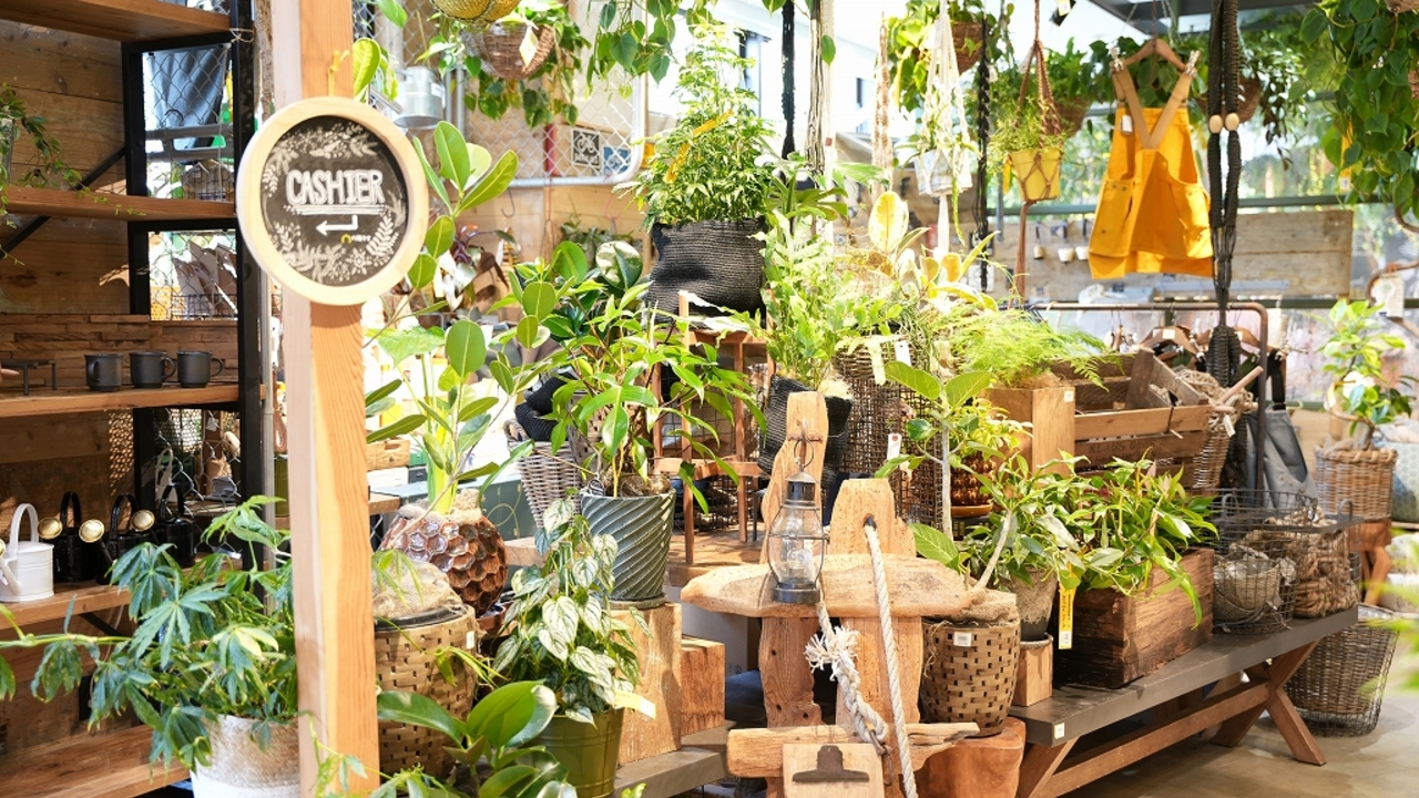 株式会社ユニバーサル園芸社の会社TOPの写真1枚目