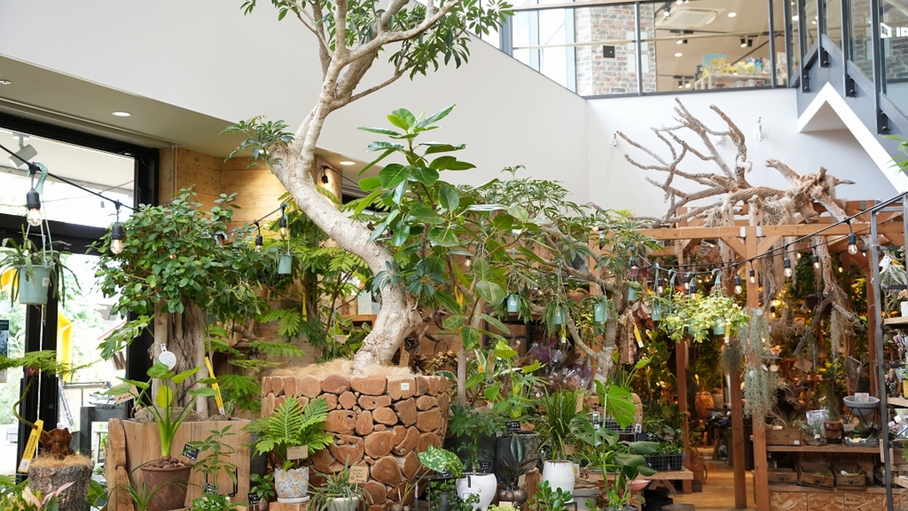 株式会社ユニバーサル園芸社の会社TOPの写真2枚目