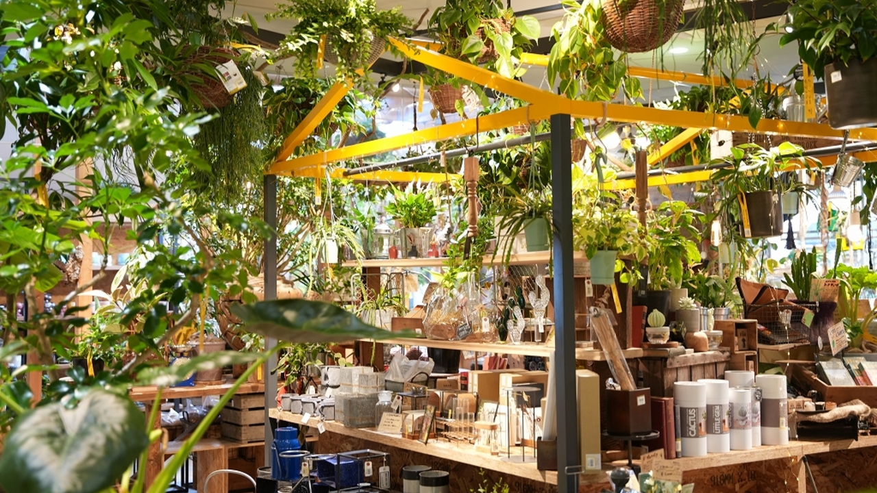 株式会社ユニバーサル園芸社の会社TOPの写真3枚目