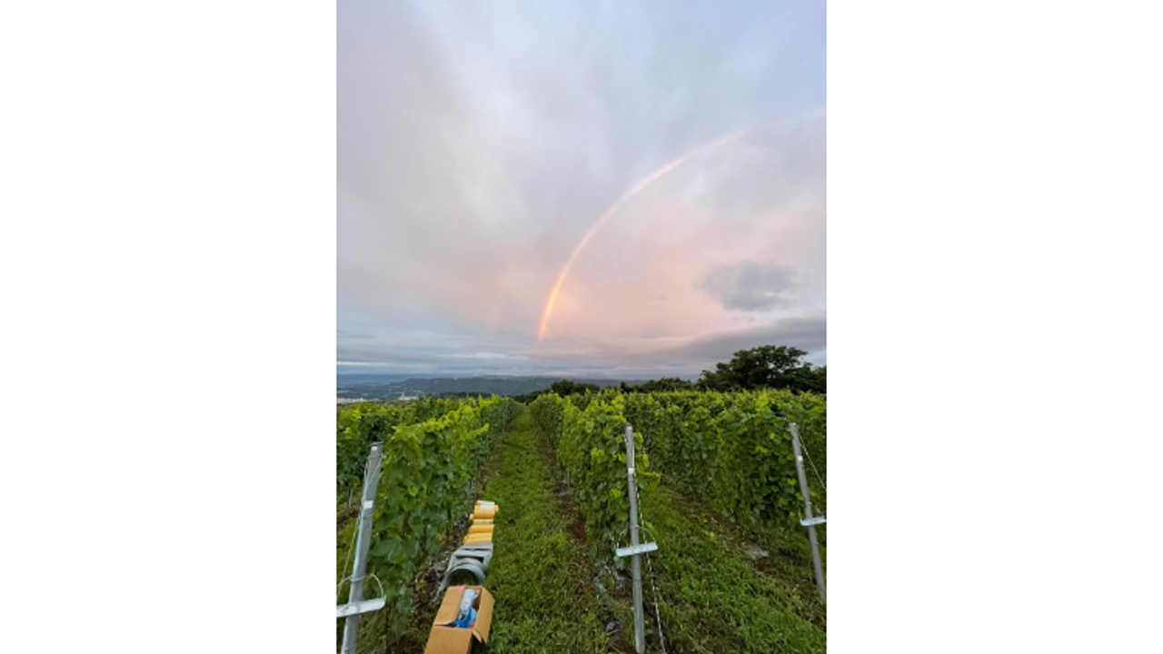 株式会社Greve.tのこだわりポイントの写真4枚目