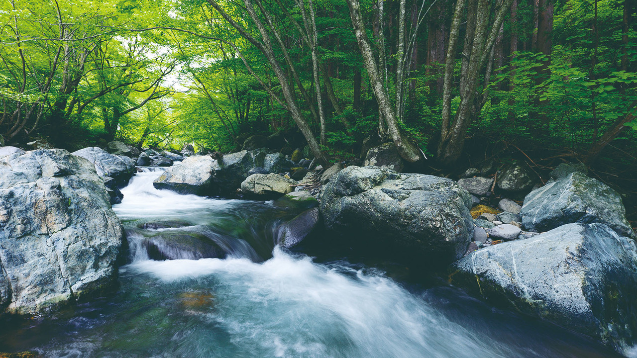 株式会社エコ計画の事業内容の写真2枚目