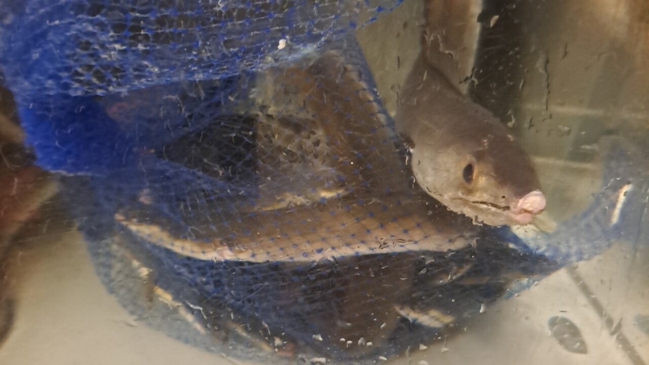 株式会社ゆうじろうのこだわりポイントの写真1枚目