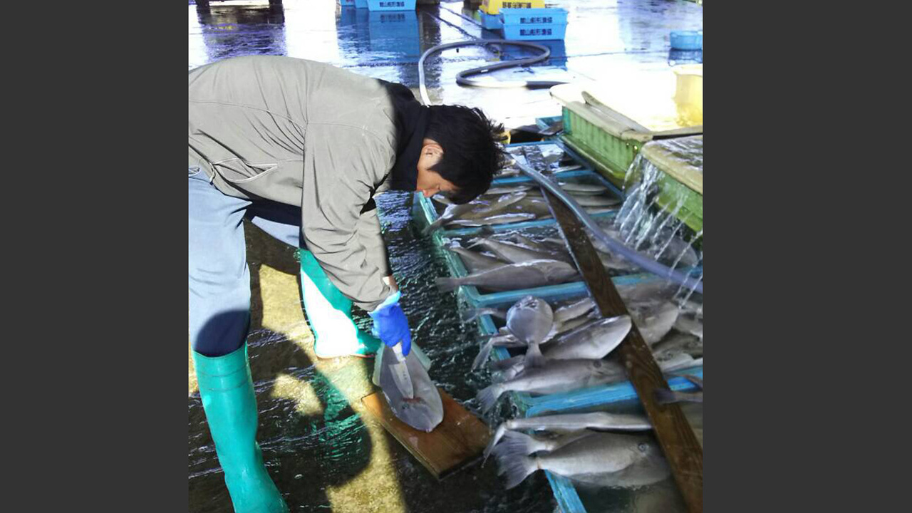 株式会社スプラウトインベストメントのこだわりポイントの写真1枚目