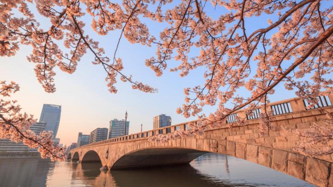 株式会社ラグーンインターナショナルの会社TOPの写真4枚目