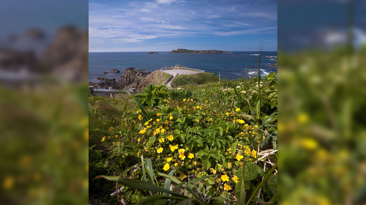 株式会社レブニーズの会社TOPの写真3枚目