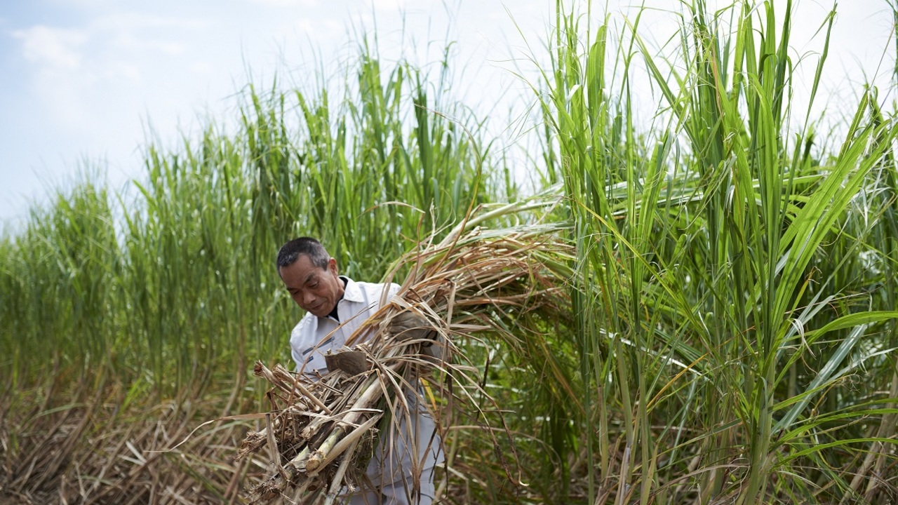 株式会社ナピネスのこだわりポイントの写真3枚目