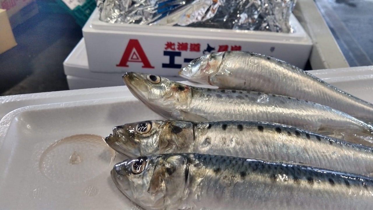 日本食品商事株式会社のこだわりポイントの写真3枚目