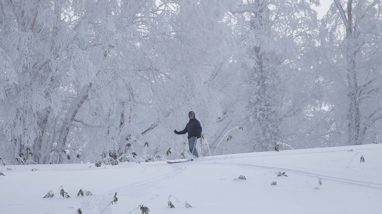 株式会社Asyatt.で働く人の写真3枚目