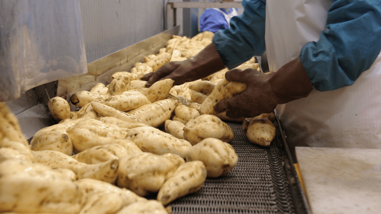 澁谷食品株式会社のこだわりポイントの写真1枚目