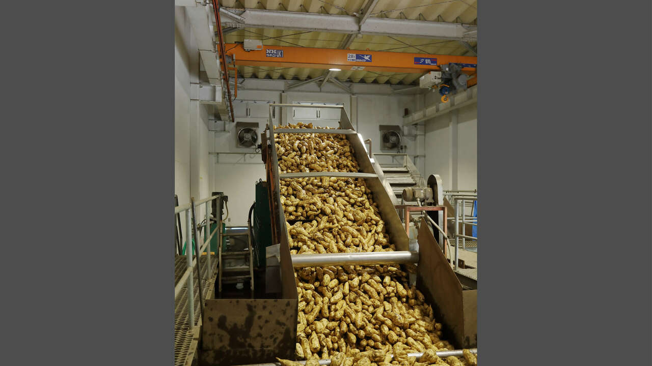 澁谷食品株式会社の事業内容の写真1枚目