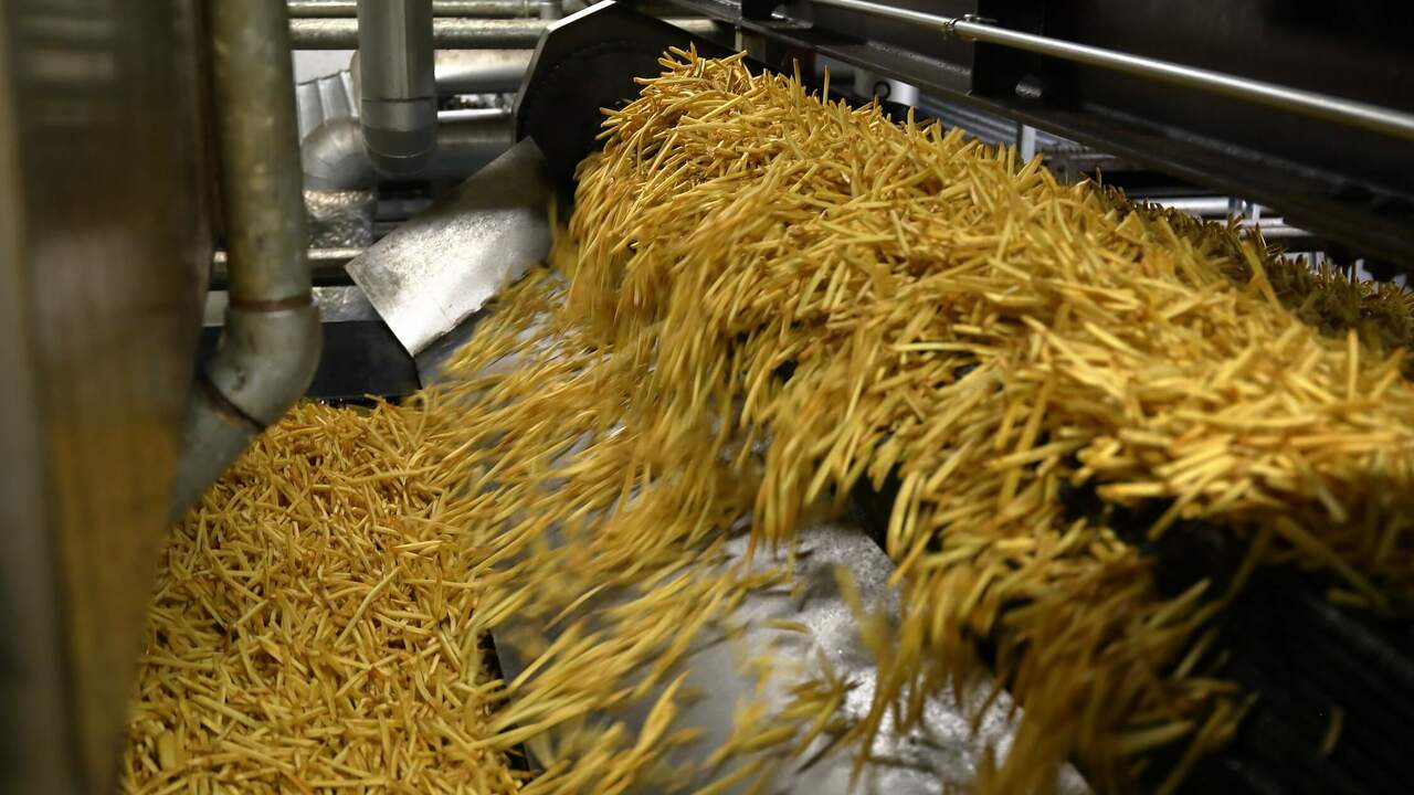 澁谷食品株式会社の事業内容の写真2枚目