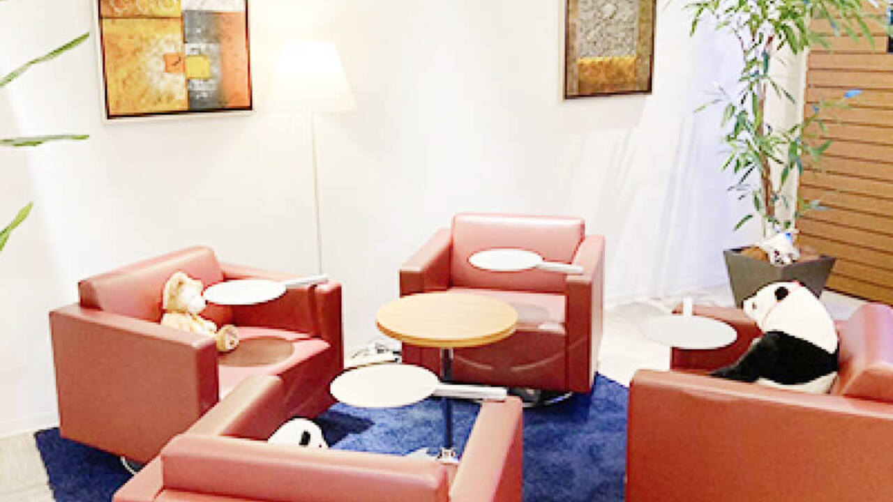 テスト株式会社クオレガ(ホテルズラボ)の事業内容の写真4枚目